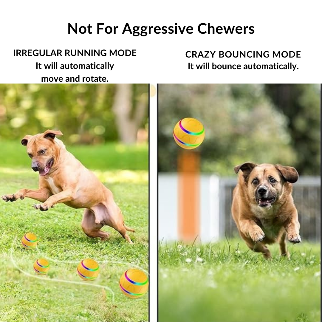 Interactive Dog Toy Ball with Remote Control (๐๐ฑ๐ฑ ๐๐๐ฒ๐บ๐ ๐๐ถ๐ฎ ๐๐ฎ๐ฟ๐ ๐๐ฑ๐ฑ-๐ข๐ป๐ ๐๐ผ ๐๐ฒ๐ ๐ฐ๐ฌ% ๐ข๐๐!)
