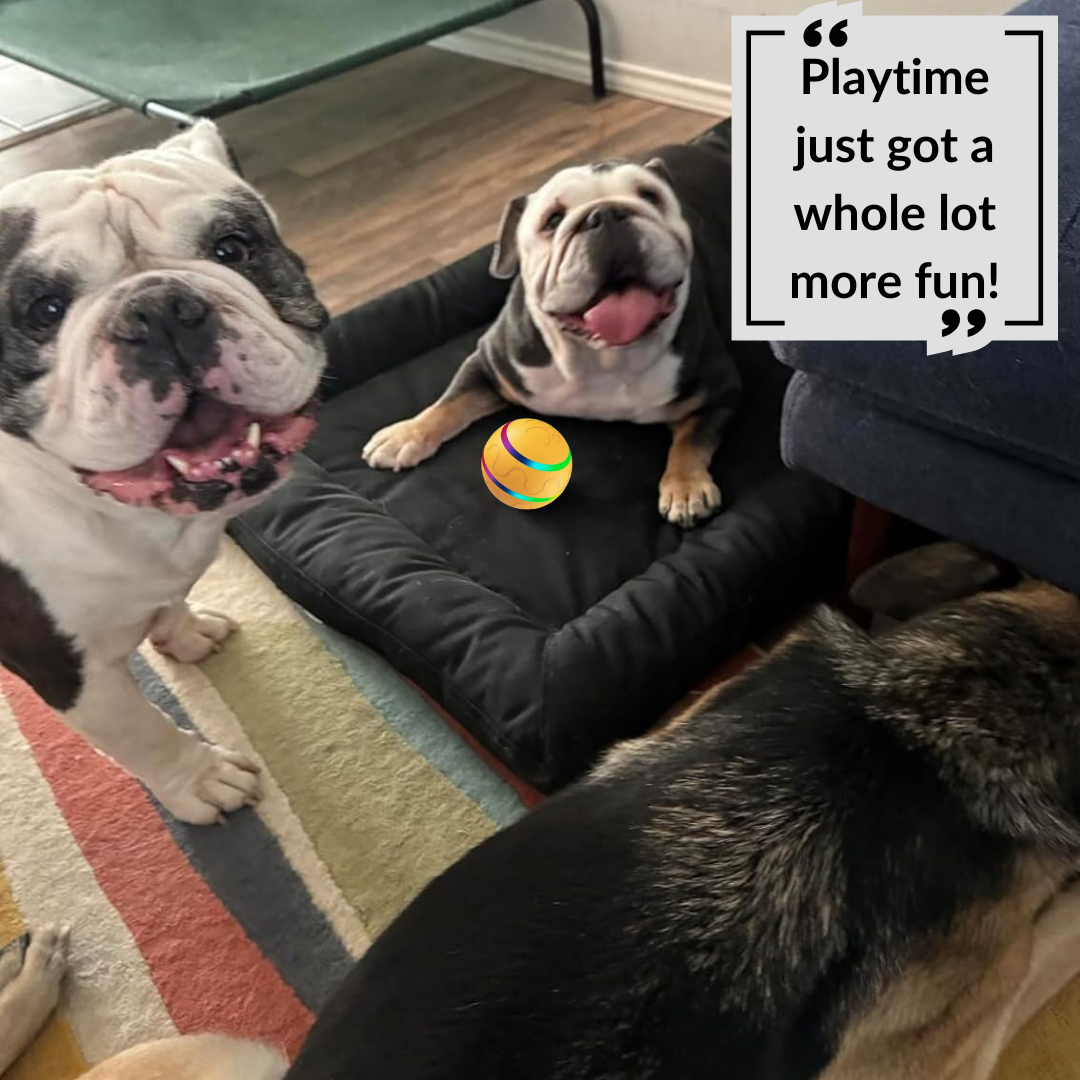 Interactive Dog Toy Ball with Remote Control (๐๐ฑ๐ฑ ๐๐๐ฒ๐บ๐ ๐๐ถ๐ฎ ๐๐ฎ๐ฟ๐ ๐๐ฑ๐ฑ-๐ข๐ป๐ ๐๐ผ ๐๐ฒ๐ ๐ฐ๐ฌ% ๐ข๐๐!)