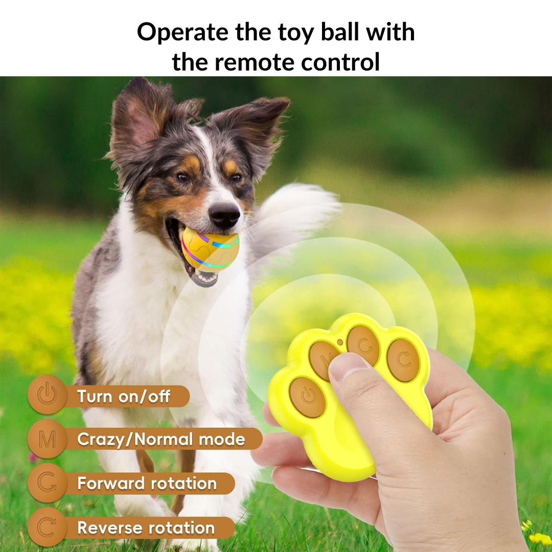 Interactive Dog Toy Ball with Remote Control (๐๐ฑ๐ฑ ๐๐๐ฒ๐บ๐ ๐๐ถ๐ฎ ๐๐ฎ๐ฟ๐ ๐๐ฑ๐ฑ-๐ข๐ป๐ ๐๐ผ ๐๐ฒ๐ ๐ฐ๐ฌ% ๐ข๐๐!)