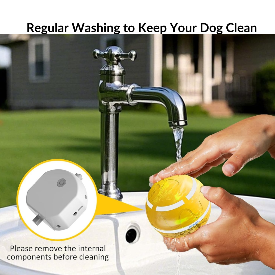 Interactive Dog Toy Ball with Remote Control (๐๐ฑ๐ฑ ๐๐๐ฒ๐บ๐ ๐๐ถ๐ฎ ๐๐ฎ๐ฟ๐ ๐๐ฑ๐ฑ-๐ข๐ป๐ ๐๐ผ ๐๐ฒ๐ ๐ฐ๐ฌ% ๐ข๐๐!)