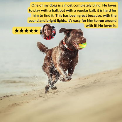 Interactive Dog Toy Ball with Remote Control (𝗔𝗱𝗱 𝗜𝘁𝗲𝗺𝘀 𝘃𝗶𝗮 𝗖𝗮𝗿𝘁 𝗔𝗱𝗱-𝗢𝗻𝘀 𝘁𝗼 𝗚𝗲𝘁 𝟰𝟬% 𝗢𝗙𝗙!)